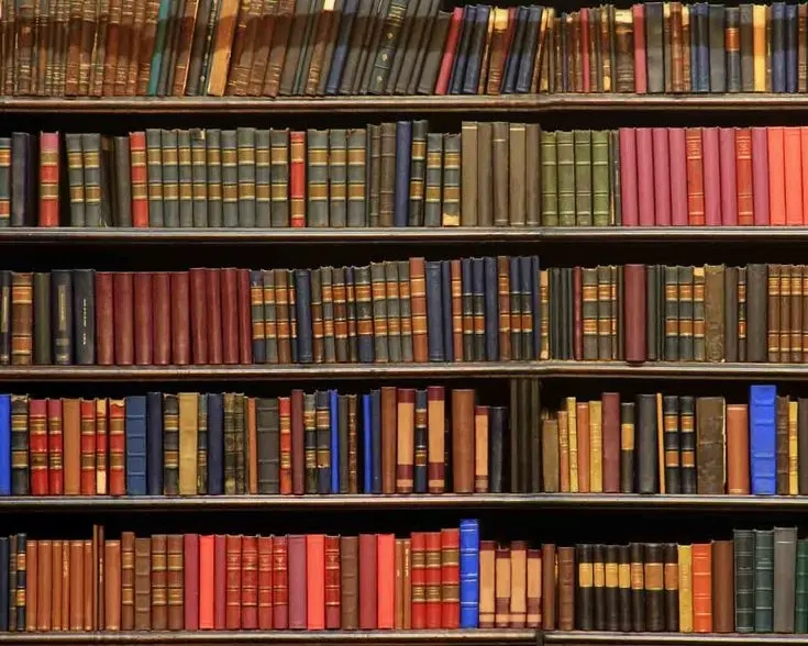 Wooden library shelves filled with rows of vintage books.